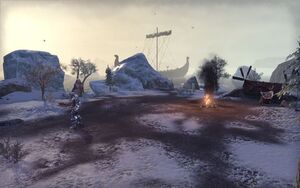 ON-place-Coastal Giant Camp 03.jpg