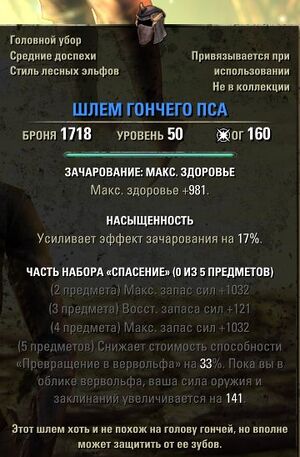 ON-item-The Hound's Helm.jpg