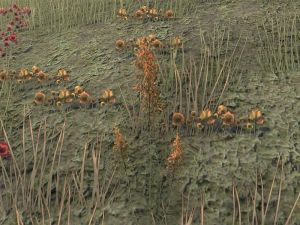 ON-node-Mountain Flower.jpg