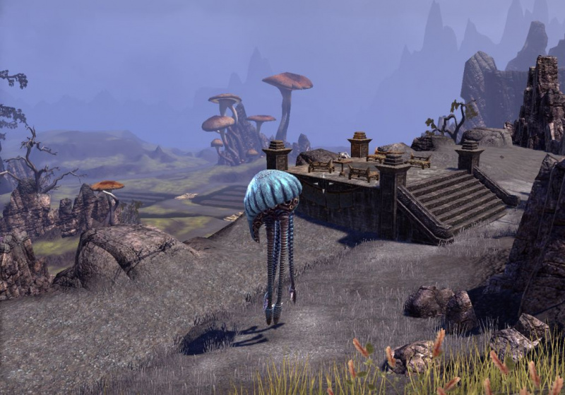 Файл:ON-place-Plantation Point Overlook.jpg