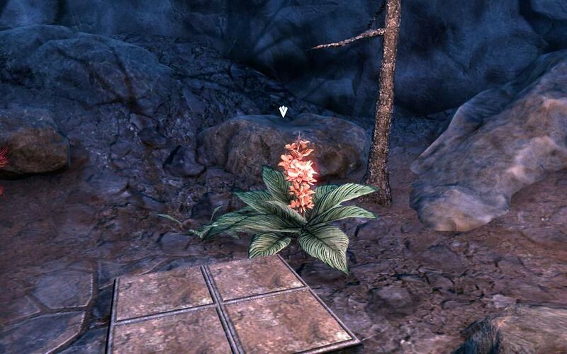 Файл:ON-quest-Flowers in the Folly 02.jpg