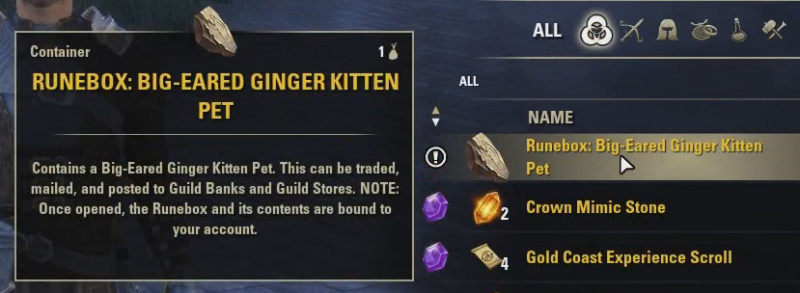 Файл:ON-item-runebox-Runebox-Big-Eared Ginger Kitten Pet.jpg