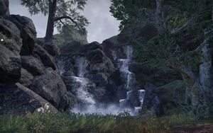 ON-place-In Need of a Bath 04.jpg