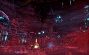 ON-interier-Gloomforest Ritual Site 03.jpg