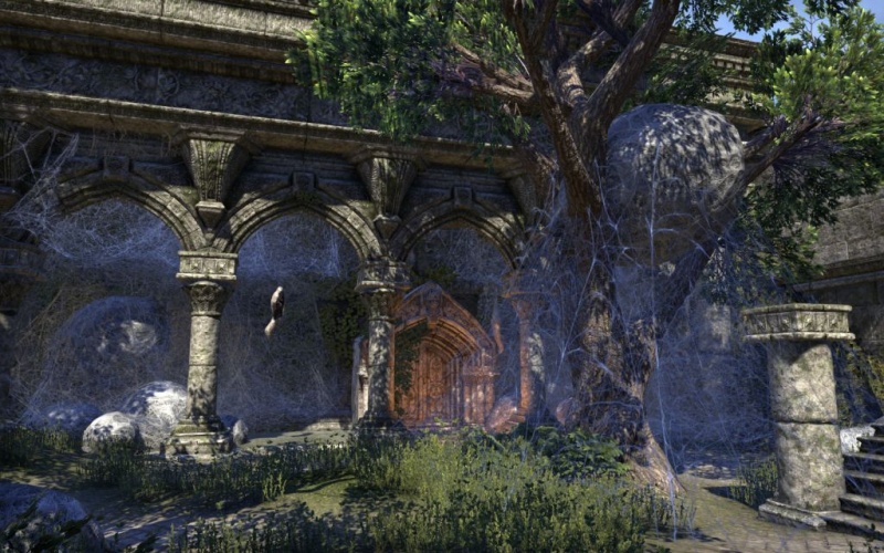 Файл:ON-place-Cathedral of Webs.jpg