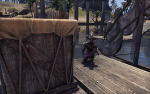 ON-npc-Watchman Pierjean.jpg