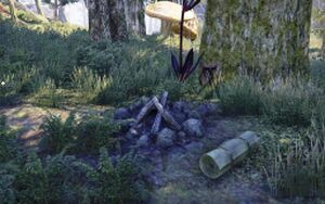 ON-quest-Family Reunion 01.jpg