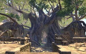 ON-place-Xor-Hist 02.jpg