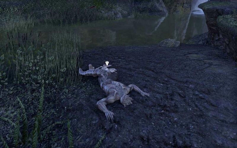 Файл:ON-quest-Empty Nest 06.jpg