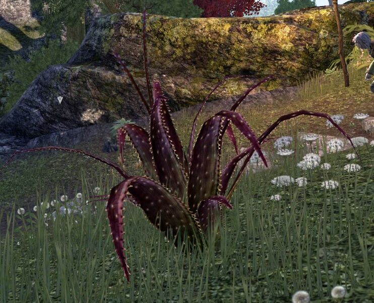 Файл:ON-quest-Plague of Phaer 02.jpg