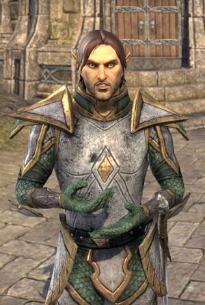 ON-npc-Watchman Heldil.jpg