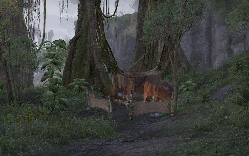 Файл:ON-place-Boar's Run Overlook.jpg