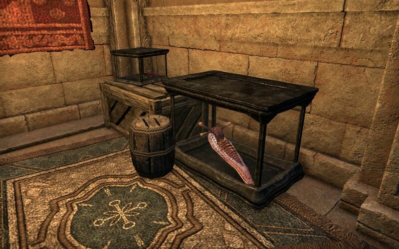 Файл:ON-place-The Collector's Villa 04.jpg