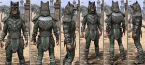 ON-item-armor-Homespun-m-Skinchanger Style.jpg