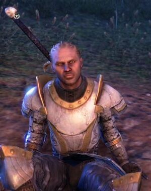 ON-npc-Sir Malik Nasir.jpg