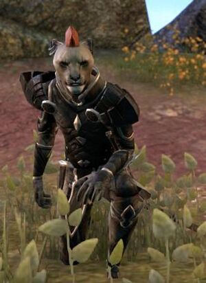 ON-npc-Razum-dar 03.jpg