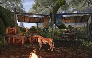 ON-place-Sleepy Senche Overlook 01.jpg