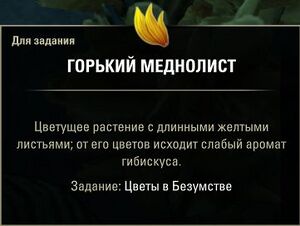 ON-quest-Flowers in the Folly 05.jpg