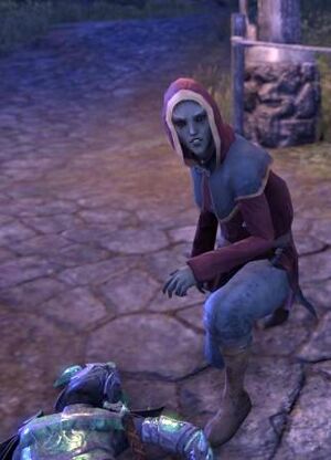 ON-npc-Canon Valasa.jpg