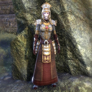 ON-costume-Battlemage Palatine Armor (Female).jpg