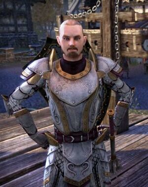 ON-npc-Captain Ernele.jpg