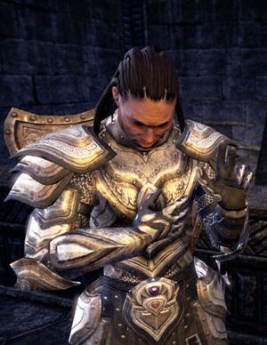 ON-npc-Merric at-Aswala 05.jpg