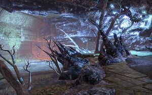 ON-place-Xul-Katama 07.jpg