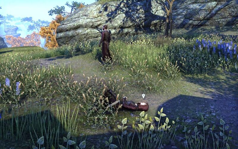 Файл:ON-quest-Injured Spirit Wardens 02.jpg