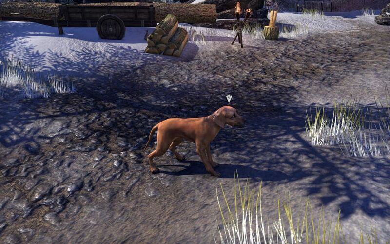 Файл:ON-quest-Lost on Bleakrock 02.jpg