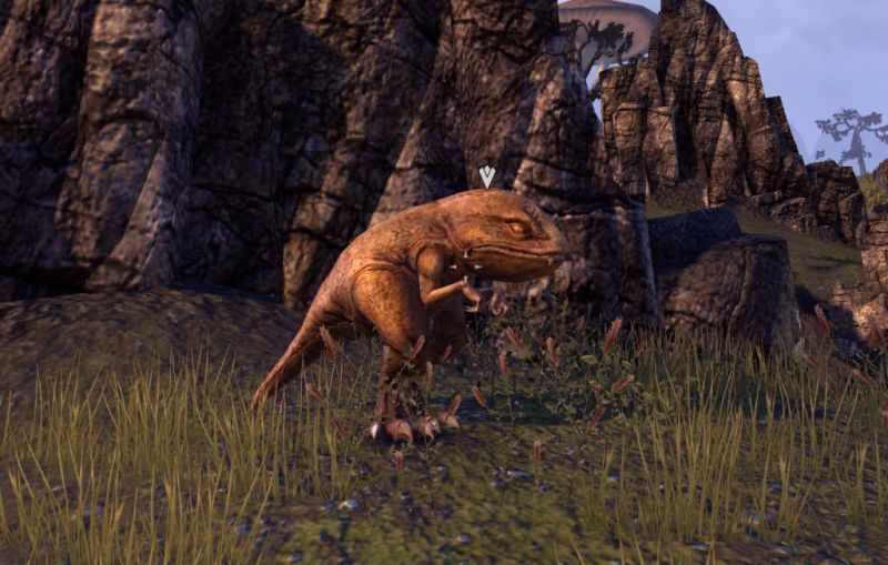 Файл:ON-quest-Recovering the Guar 01.jpg