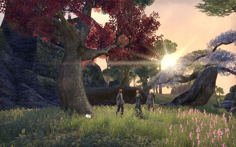 Файл:ON-quest-The Witch of Silatar 07.jpg