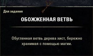 ON-quest-The Burnt Branch 06.jpg