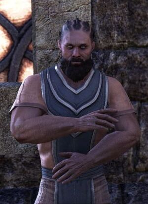 ON-npc-Dockmaster Bahir.jpg