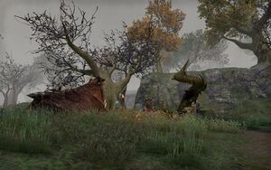 ON-place-Hag Fen.jpg