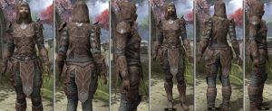 ON-item-armor-Homespun-f-Thieves Guild Style.jpg