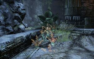 ON-quest-Sunken Treasure 07.jpg