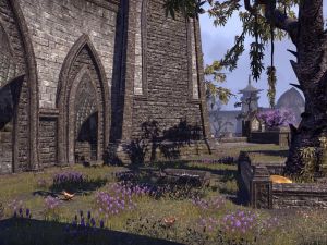 ON-place-Davon's Watch Outlaws Refuge.jpg