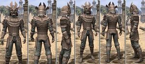 ON-item-armor-Homespun-m-Tsaesci Style.jpg