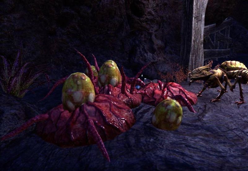 Файл:ON-place-Strifeswarm Kwama Mine 01.jpg