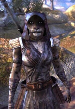 ON-npc-Shazah 01.jpg