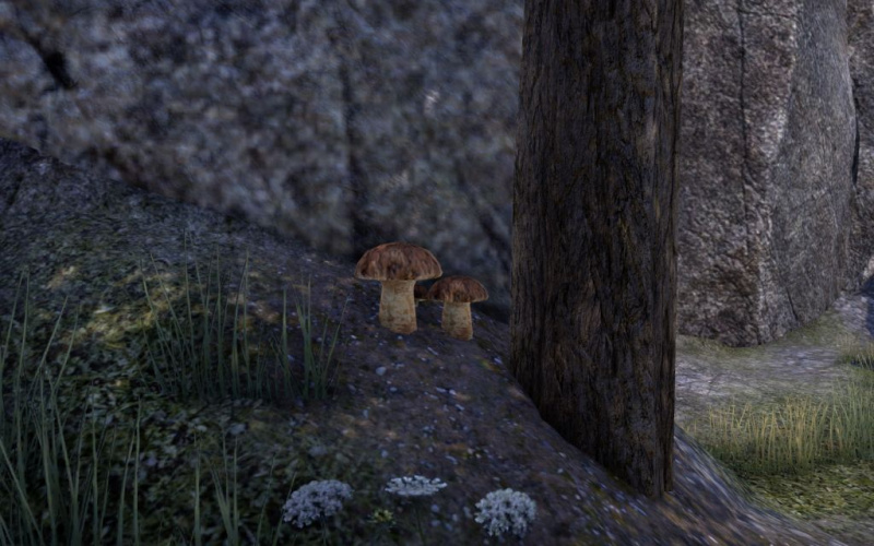 Файл:ON-node-Namira's Rot.jpg