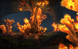 ON-place-Coral Heart Chamber 03.jpg