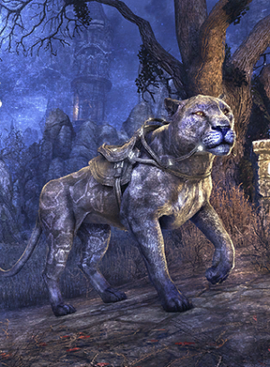 ON-card-Indigo Senche-Panther.png