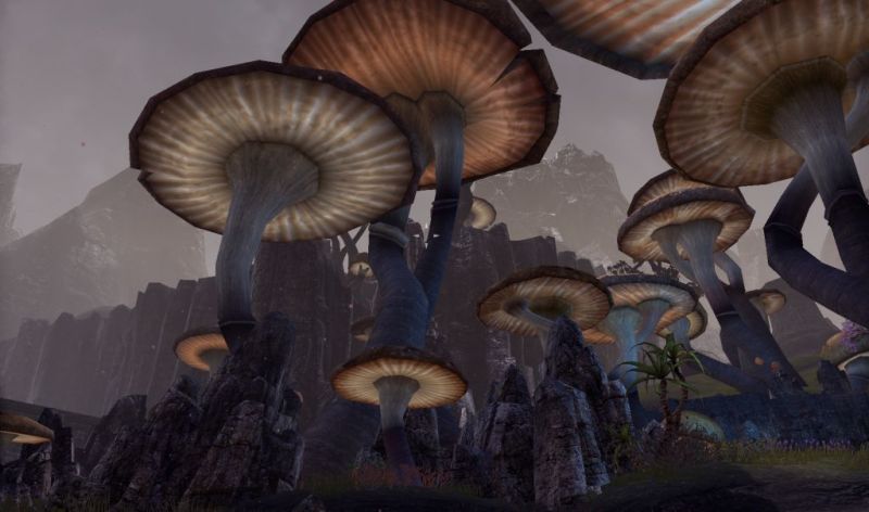 Файл:ON-place-The Brahma's Grove 01.jpg