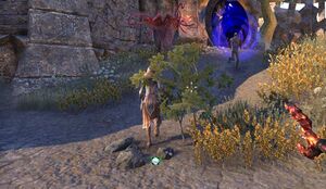 ON-quest-A Web of Troubles 02.jpg