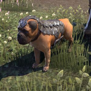 ON-pet-Alliance War Dog (Dominion).jpg