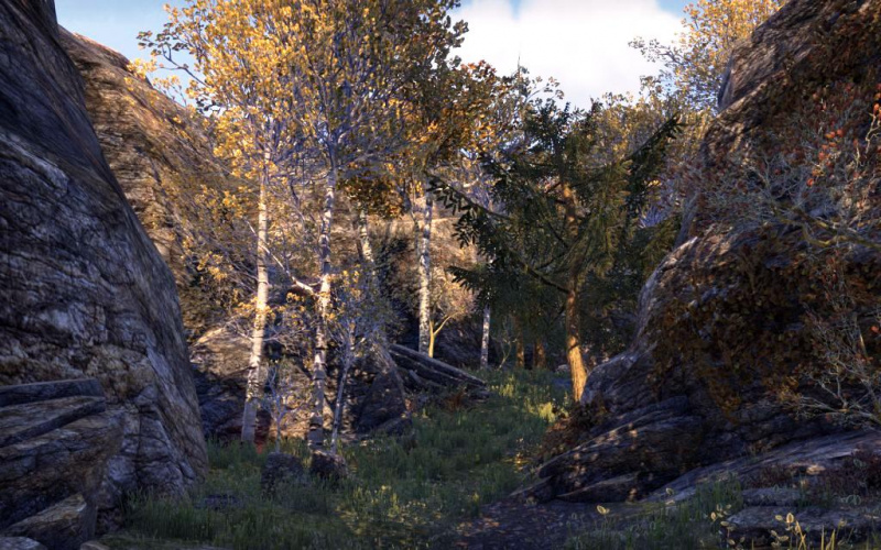 Файл:ON-place-Jerall Mountains Logging Track.jpg