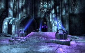 ON-quest-Lost in Study 03.jpg