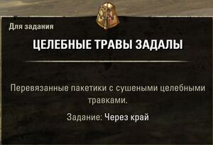 ON-quest-Over the Edge 05.jpg