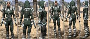 ON-item-armor-Rawhide-f-Stalhrim Frostcaster Style.jpg